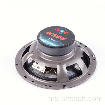 Profesional 6.5 &quot;Speaker Kereta sepaksi